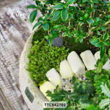 RUSTIC (MỘC MẠC)