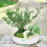 RUSTIC (MỘC MẠC)