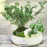 RUSTIC (MỘC MẠC)