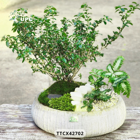 RUSTIC (MỘC MẠC)