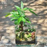 TOUCH (ĐIỂM CHẠM)