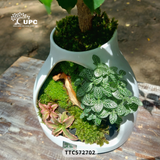 EMOTION (XÚC CẢM)