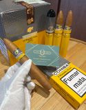 COHIBA PIRAMIDES TUBOS (Giá: Liên hệ)