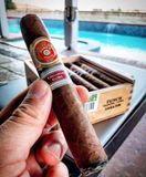 PUNCH LA ISLA (Giá: Liên hệ)