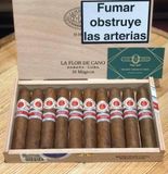 La flor DeCano-10 Magicos Spain (Giá: Liên hệ)