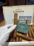 San Cristob La fuerza 25s ( Giá: Liên Hệ)