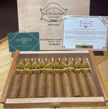 SANCRISTOBAL 10 PRADO (Giá: Liên hệ)