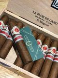La flor DeCano-10 Magicos Spain (Giá: Liên hệ)