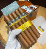 Cohiba Siglo V-25s( Giá: Liên hệ)