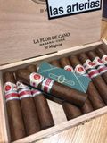 La flor DeCano-10 Magicos Spain (Giá: Liên hệ)