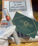 Fonceca KDT Cadetes -25s (Giá: Liên hệ)
