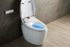 Bồn Cầu Thông Minh Ful Chức Năng - 001