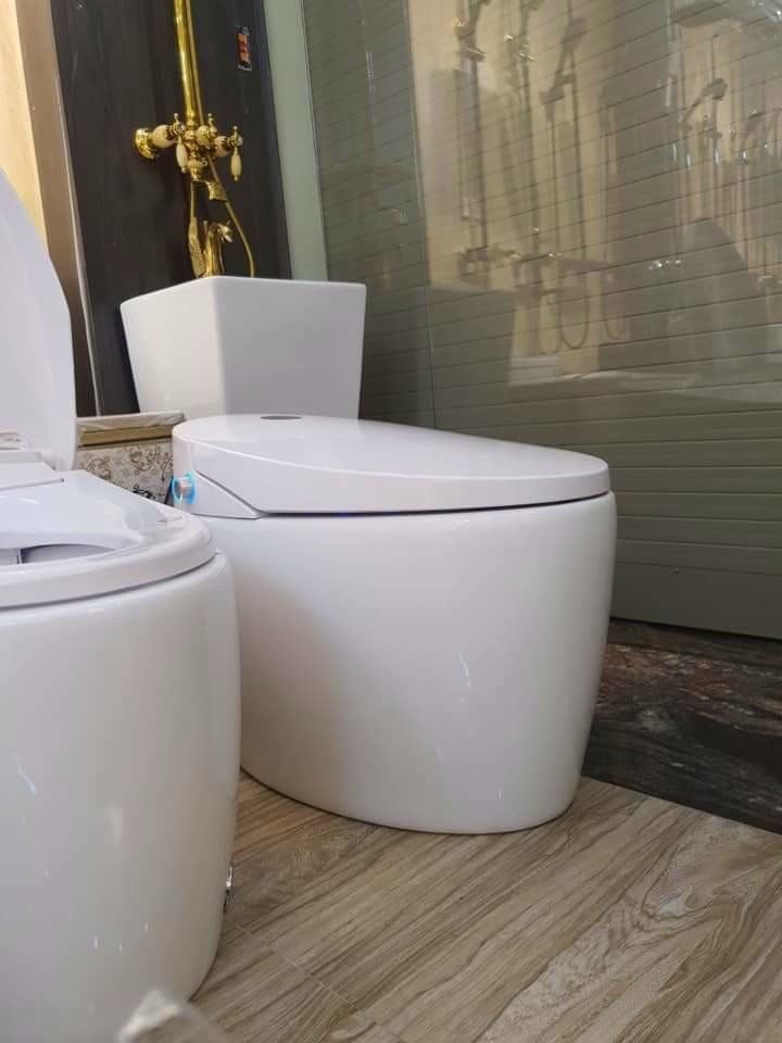Bồn Cầu Thông Minh Ful Chức Năng - 001