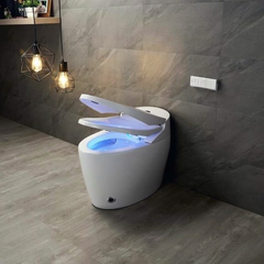 Bồn cầu thông minh full chức năng