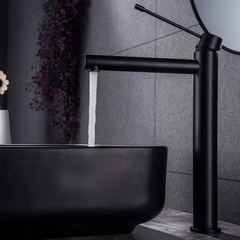 Vòi rửa mặt màu đen V-3001B