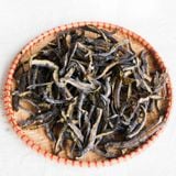 Tảo biển Chi Lê