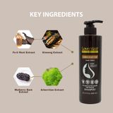 Dầu Gội Chăm Sóc Da Đầu Thảo Dược LoverHair Professional Herbal Scalp Care Shampoo 600ml