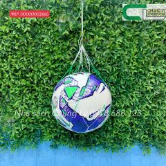 Bóng đá ĐL 5 EBET