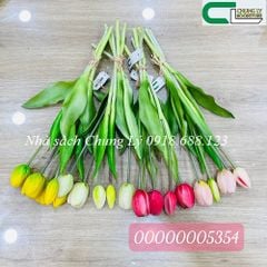 Bó tulip thái/Bó