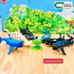 246-41 Túi thú biển