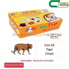 161 Flash card giúp trẻ phát triển
