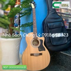 Đàn guitar D200 EQ7545