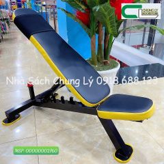 Ghế tạ Spider 2050