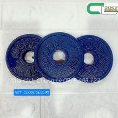 Tạ đĩa sắt 1kg