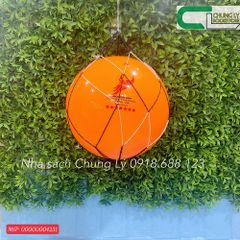 Bóng chuyền hơi 300g/Trái