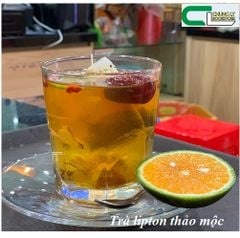 Trà lipton thảo mộc