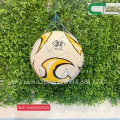 Bóng  đá BH S5/Trái