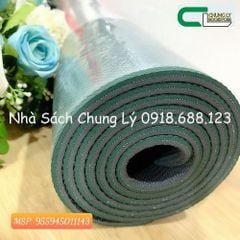 Thảm Yoga 250
