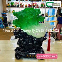 Bắp cải hoa 2200