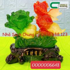 Bắp cải cá 690