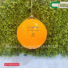 Bóng chuyền hơi 250g/Trái