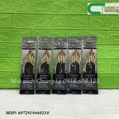 Bộ cọ vỉ 6 cây 65k
