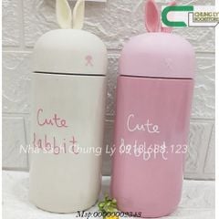 Bình giữ nhiệt 260k