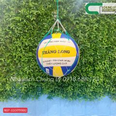 Bóng chuyền VB 7000/Trái