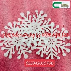 Bông tuyết 28