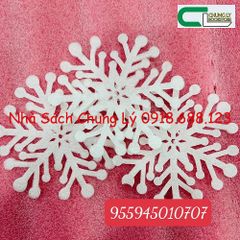 Bông tuyết 14