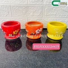 BCN1-107 Chậu Chum đế