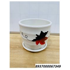 BKT1-39 Chậu dĩa S3