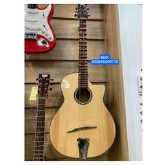 Đàn cổ Tr 950/Cây