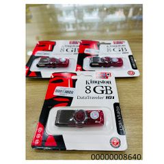 USB Kingston 8G