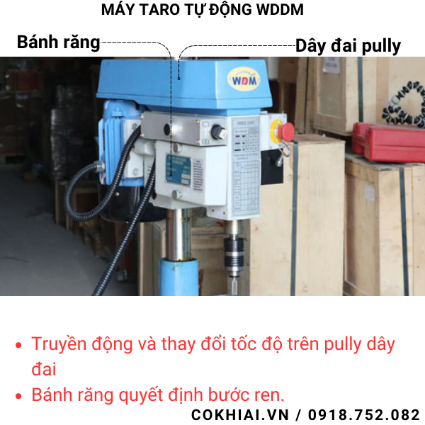 Cấu tạo máy taro tự động WDDM