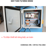  Máy taro tự động bánh răng WDDM 