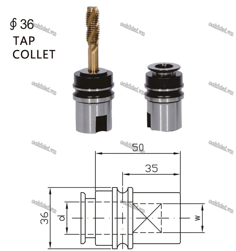 Collet kẹp mũi taro L36