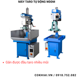  Máy taro tự động bánh răng WDDM 