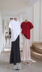 Cv Đuôi Cá Châm Bi