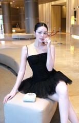 Đầm Lưới Nhúng Xòe Phối Ren